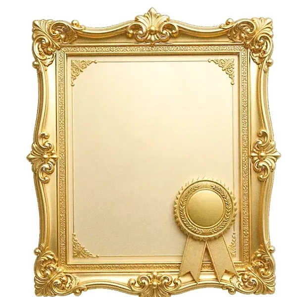 Framed certificate — Fortunica