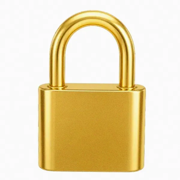 Orange padlock — Fortunica