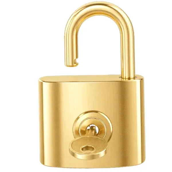 Open padlock — Fortunica