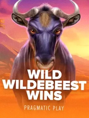 Wild Wildebeest Wins at Fortunica