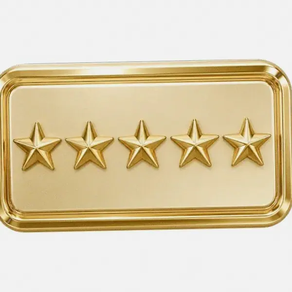 Five-star rating plaque — Fortunica