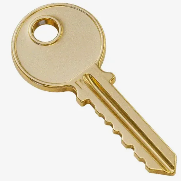 Metal key — Fortunica