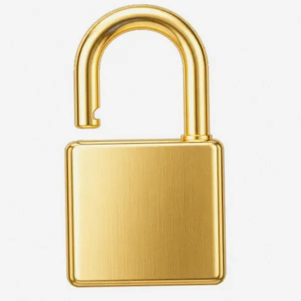 Padlock — Fortunica