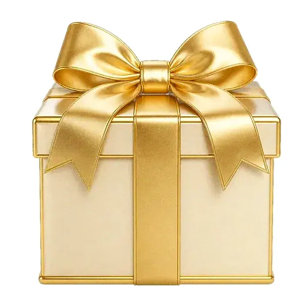 Wrapped gift box — Fortunica